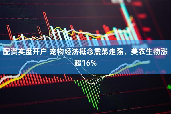 配资实盘开户 宠物经济概念震荡走强，美农生物涨超16%