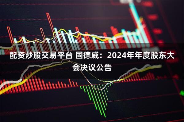 配资炒股交易平台 固德威：2024年年度股东大会决议公告