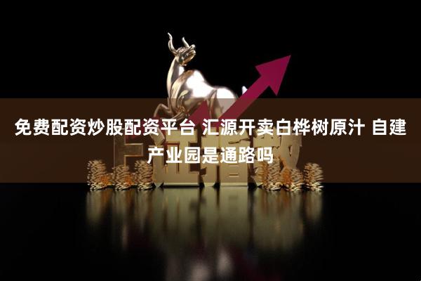免费配资炒股配资平台 汇源开卖白桦树原汁 自建产业园是通路吗
