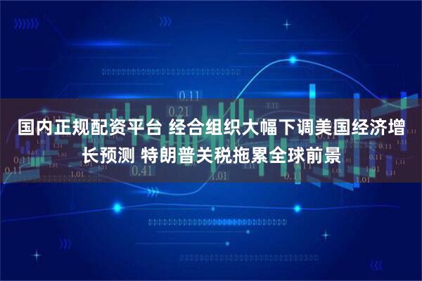 国内正规配资平台 经合组织大幅下调美国经济增长预测 特朗普关税拖累全球前景