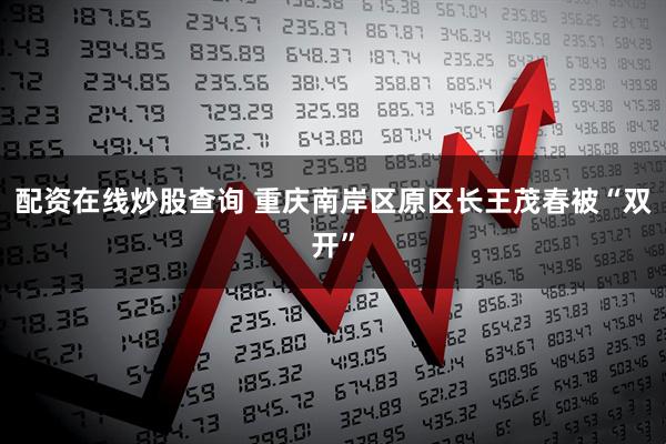 配资在线炒股查询 重庆南岸区原区长王茂春被“双开”